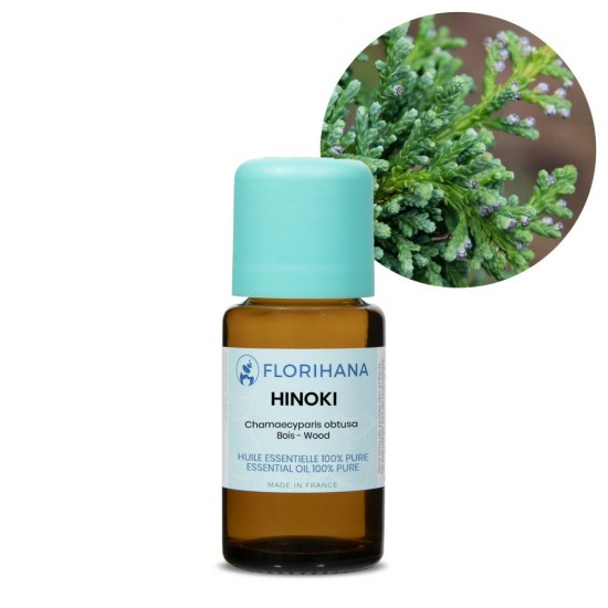 Hinoki (ヒノキ)